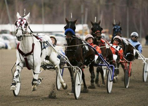 Maine Off Track Betting .
